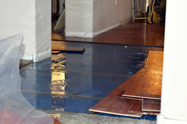 Professional Water Damage Restoration technician working in Fremont, IN